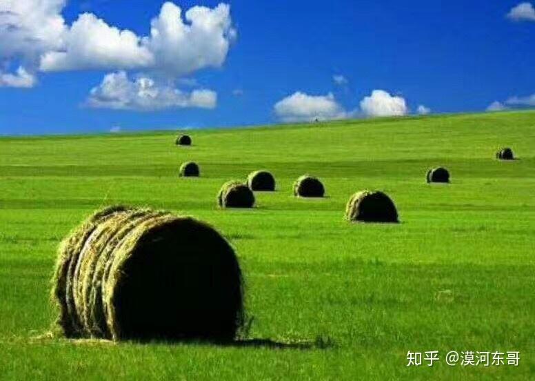 呼伦贝尔_7777788888王中王中王特色功能,揭露新证据-全面释义、解释与落实